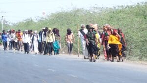 કૃષ્ણ ભક્તોની સેવાનો અનેરો અવસર